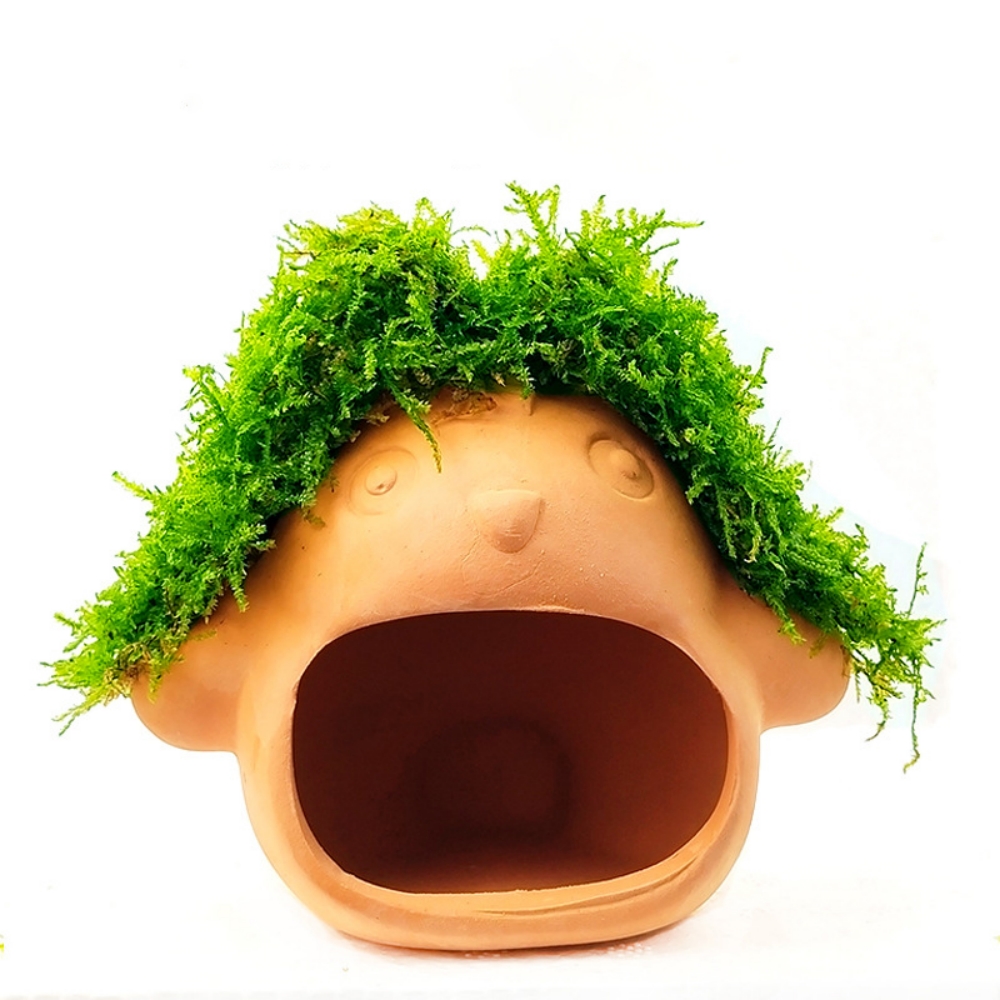 Aquarium cave with moss  第2张