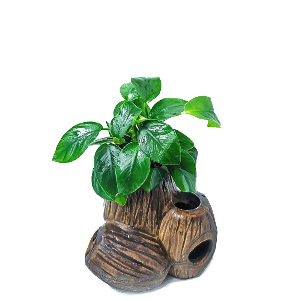 Aquarium cave with moss 第7张-Jorbangpet