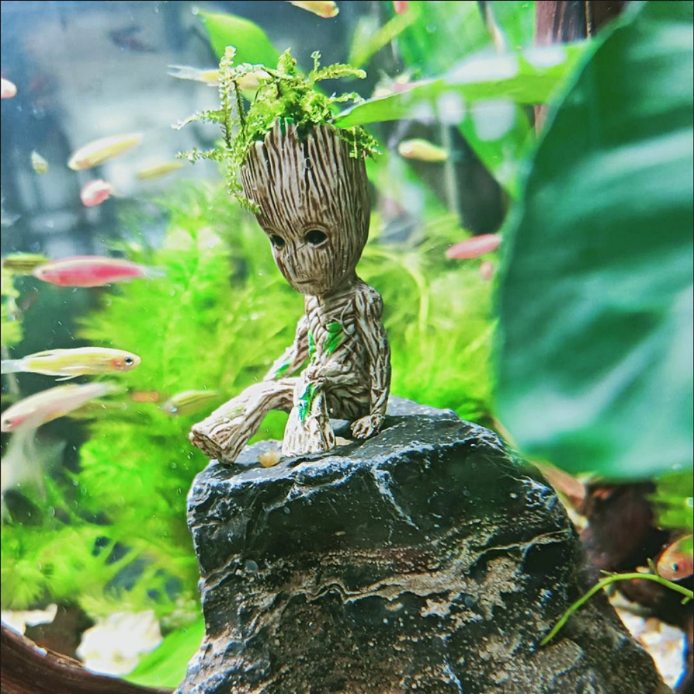 Tree man groot aquarium decor  第1张