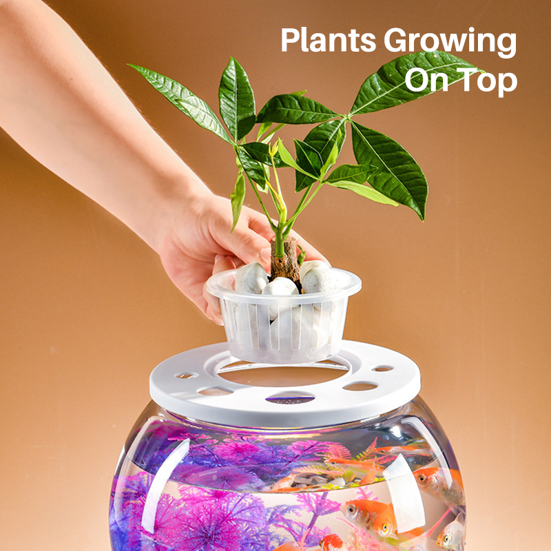 Shatterproof PET Nano Fish Tank with Plants On Top Cleaning Transparent Turtle Tank Aquarium  第1张
