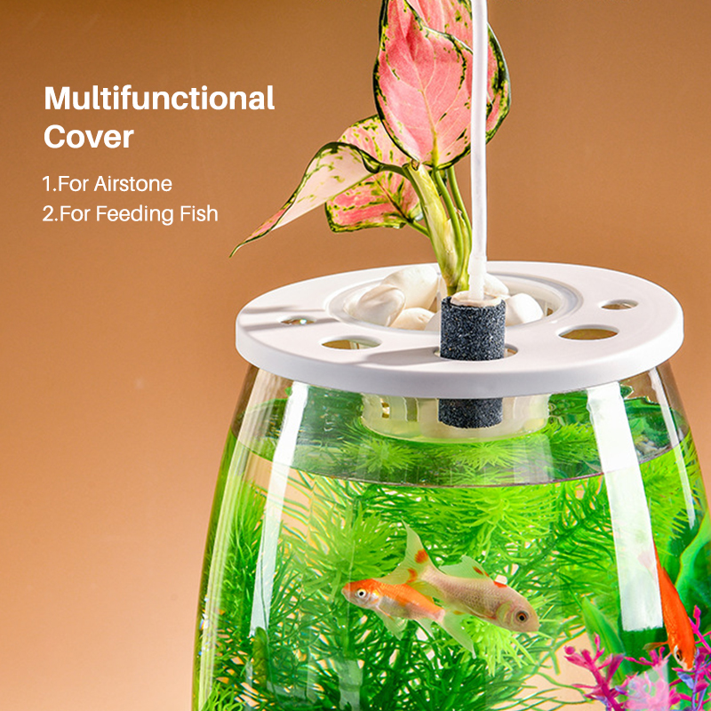 Shatterproof PET Nano Fish Tank with Plants On Top Cleaning Transparent Turtle Tank Aquarium  第2张