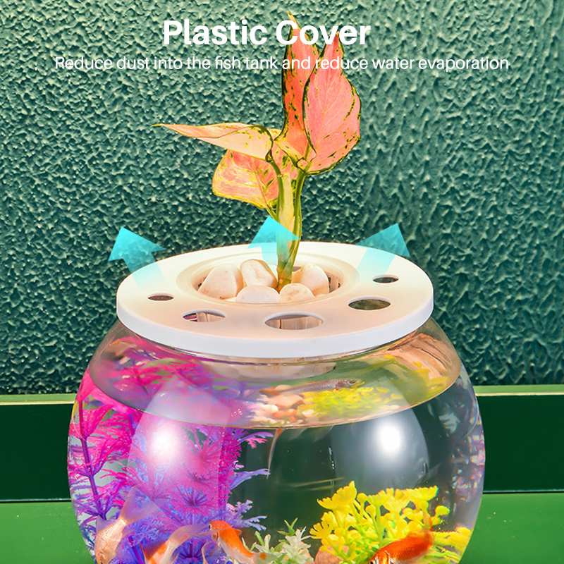 Shatterproof PET Nano Fish Tank with Plants On Top Cleaning Transparent Turtle Tank Aquarium  第3张