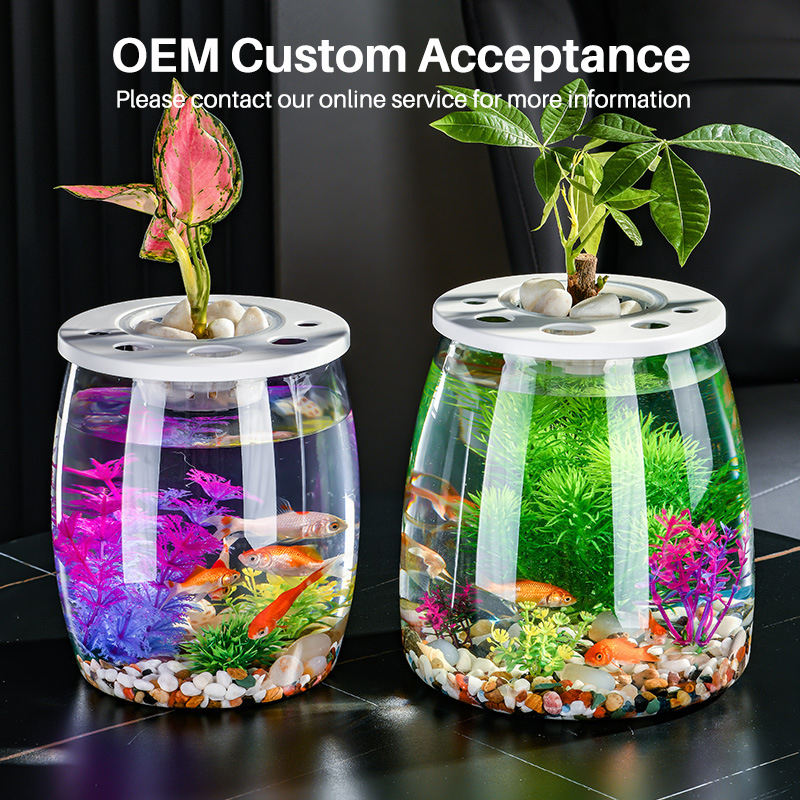 Shatterproof PET Nano Fish Tank with Plants On Top Cleaning Transparent Turtle Tank Aquarium  第5张