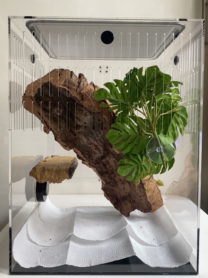 Acrylic Reptile Terrarium Box  第2张