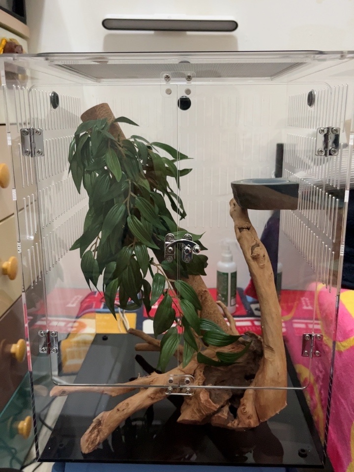 Acrylic Reptile Terrarium Box  第4张