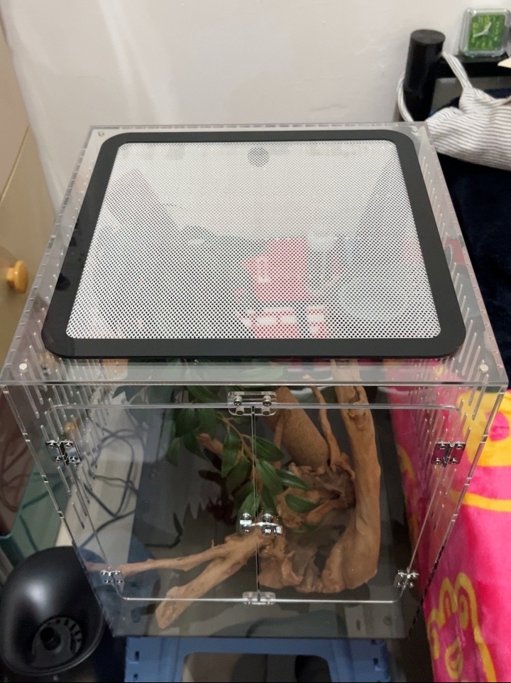 Acrylic Reptile Terrarium Box  第5张