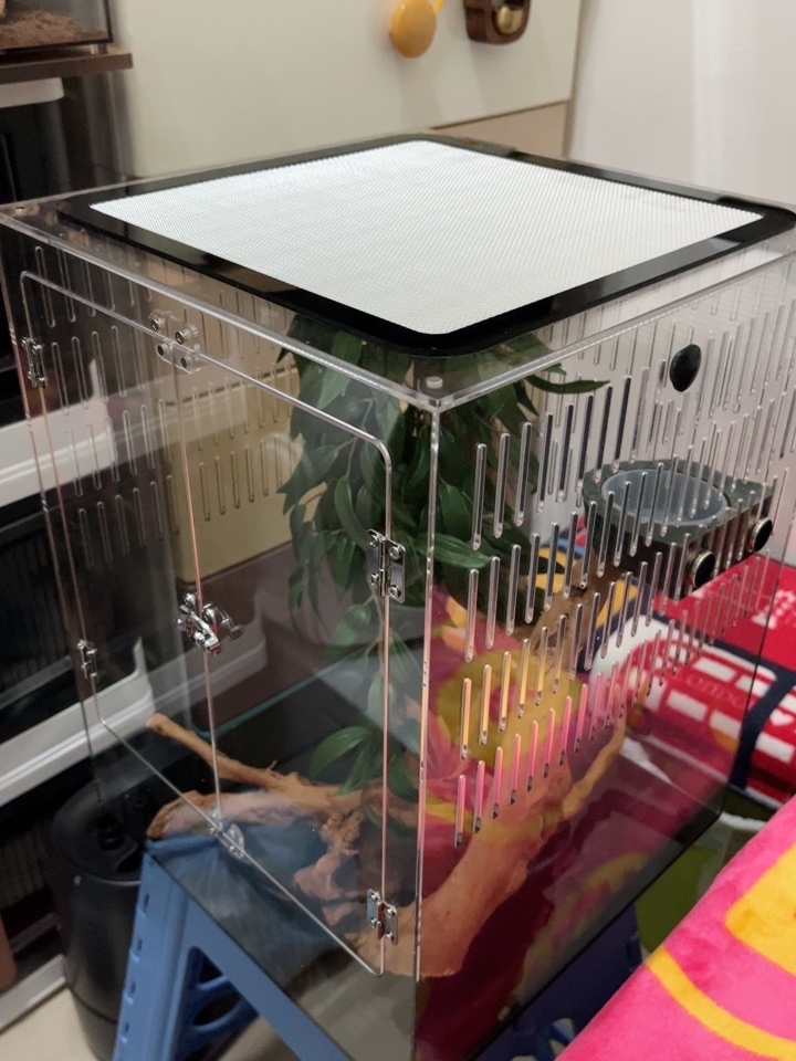 Acrylic Reptile Terrarium Box  第6张