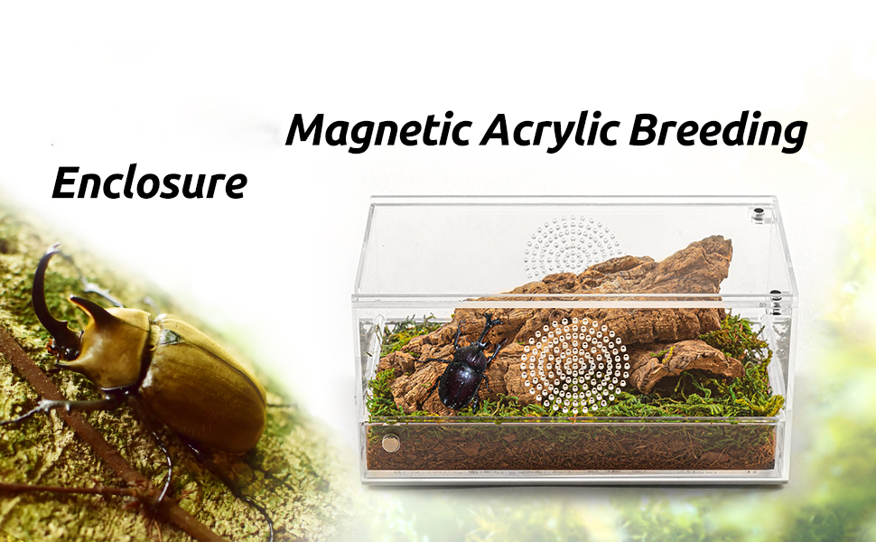 Magnetic Acrylic Reptile Terrarium 第1张-Jorbangpet