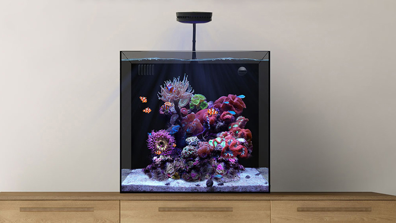 15 gallon Ultra-clear Nano Marine Peninsula Reef Aquarium Tank with Filtration and Pump  第2张