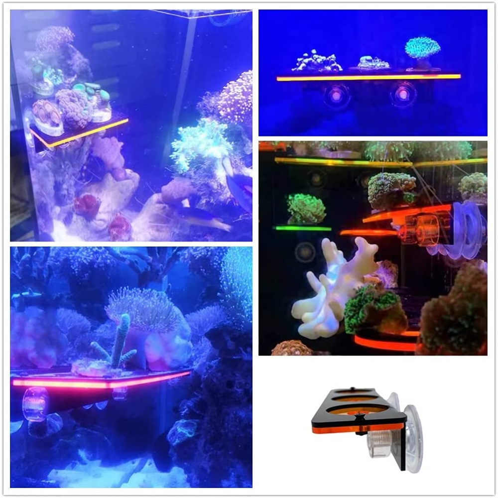 Fish Tank Fluorescent Coral Frag Bracket Coral Growing Holder Acrylic Coral Rack Marine Reef Stand  第4张