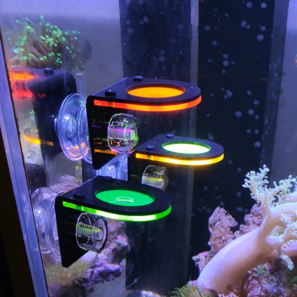 Fish Tank Fluorescent Coral Frag Bracket Coral Growing Holder Acrylic Coral Rack Marine Reef Stand  第5张