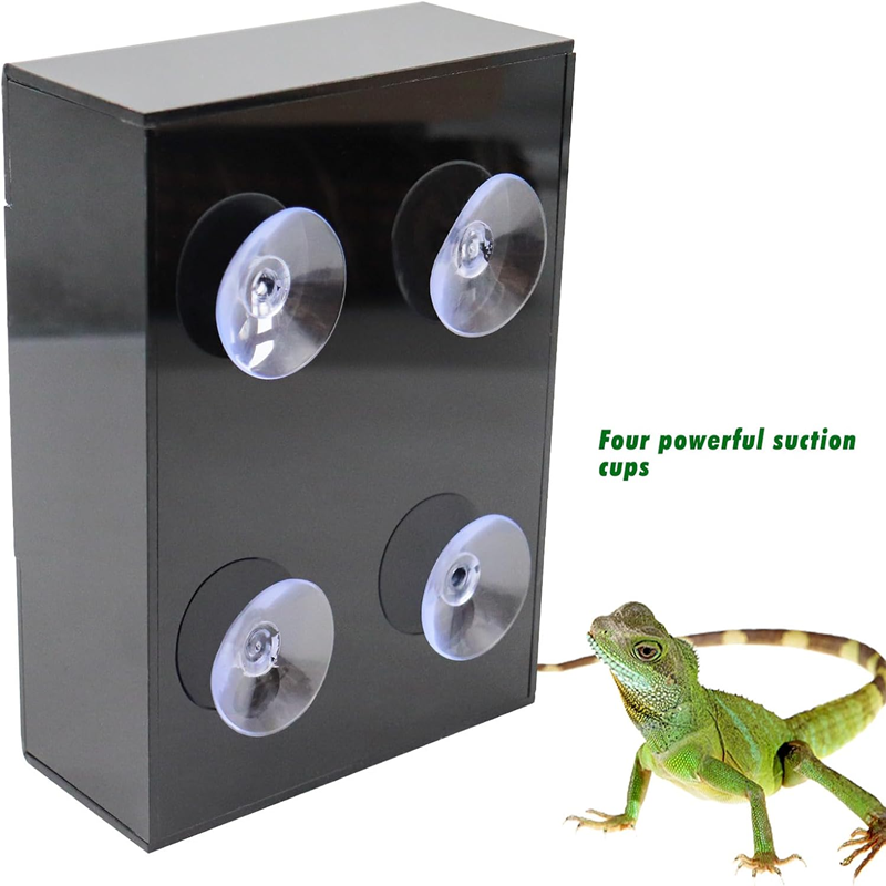 Black Acrylic Insect Feeder with Suction Cups - Escape-Proof Wall-Mounted Dish 第5张-Jorbangpet