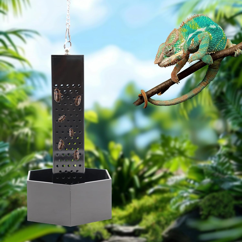 Transparent Acrylic Hanging Chameleon Feeder - Insect Climbing Tower with Hexagonal Leak-Proof Base 第5张-Jorbangpet