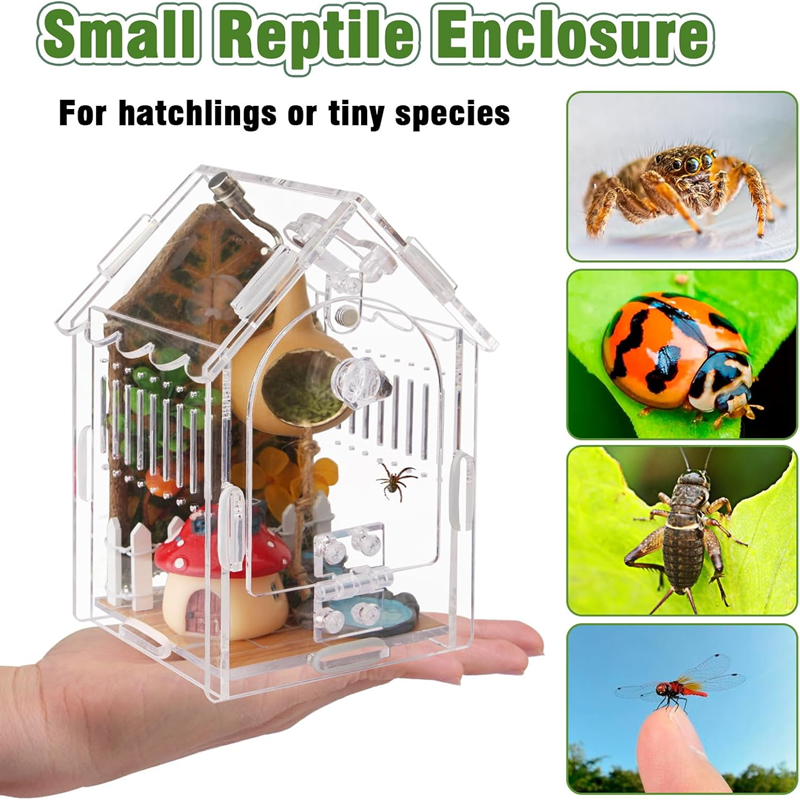 Magnetic Door Acrylic Jumping Spider Terrarium - Mini House Habitat for Tarantulas Mantises Small Reptiles 第5张-Jorbangpet