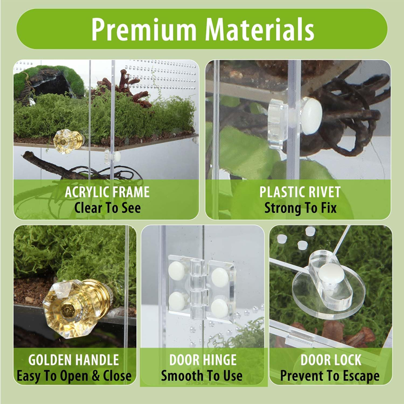 Double-Layer Acrylic Reptile Terrarium with Golden Fasteners - Anti-Escape Ventilated Enclosure for Jumping Spiders, Scorpions & Lizards 第5张-Jorbangpet