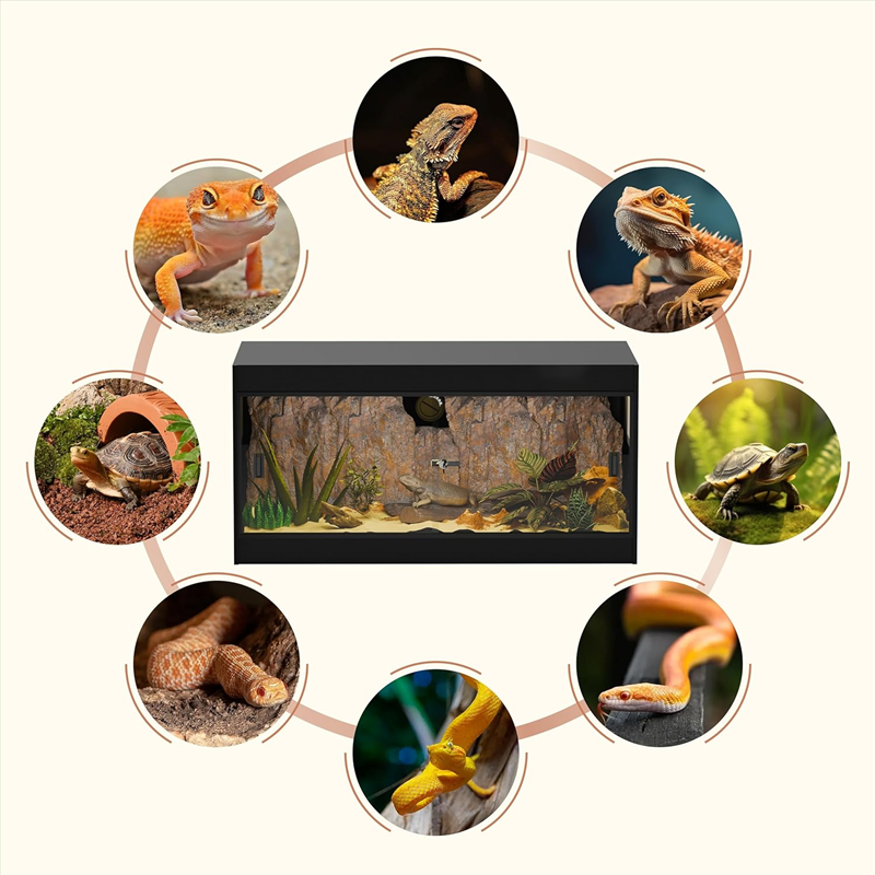 5b600ab6-1b6c-4386-9f0b-392a7f438c52