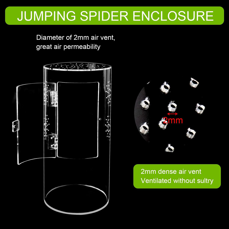 360° Panoramic Acrylic Reptile Terrarium - Cylindical Insect Habitat for Spiders, Snails, Scorpions & Small Lizards 第5张-Jorbangpet