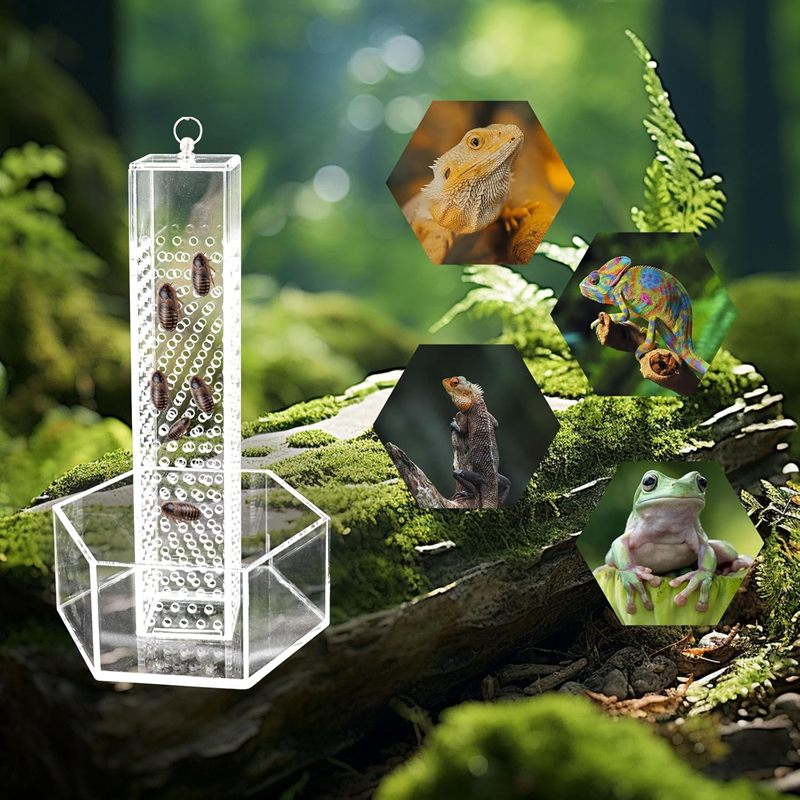 bbdb6d24-1cd3-46dc-962a-f417c4fc4a5a