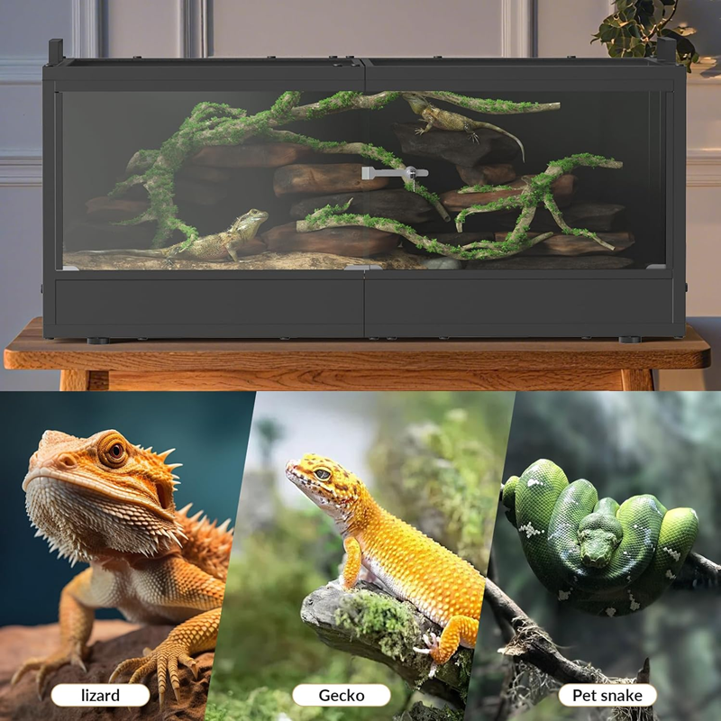 c022099e-4f7e-417c-873c-4aa064c4851f