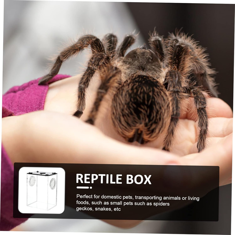 c26a068c-74e0-4999-addb-81e3a41c1366