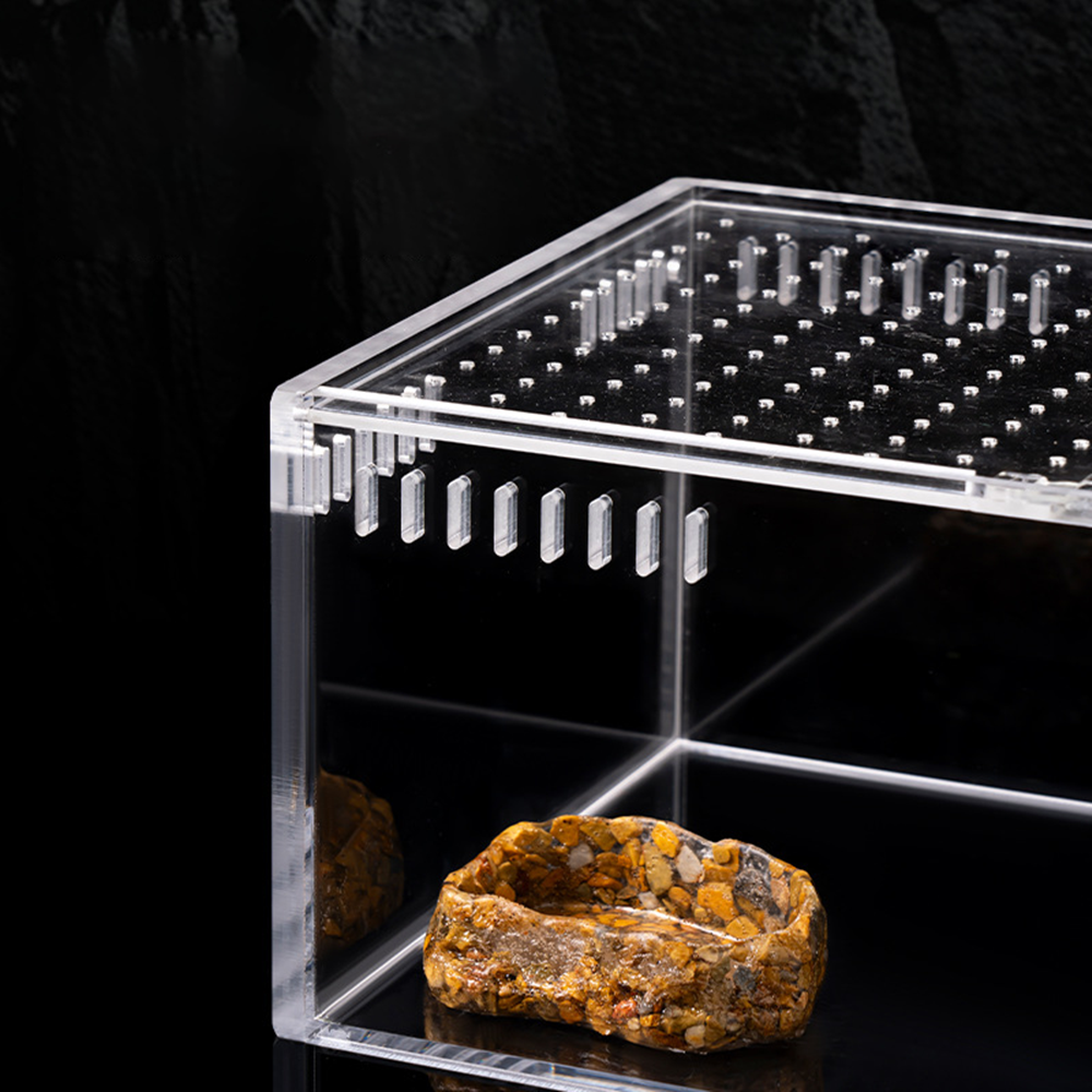 Escape-Proof Reptile Food Water Dish - Natural Stone Texture Ceramic Feeding Bowl for Geckos Bearded Dragons Hamsters 第3张-Jorbangpet