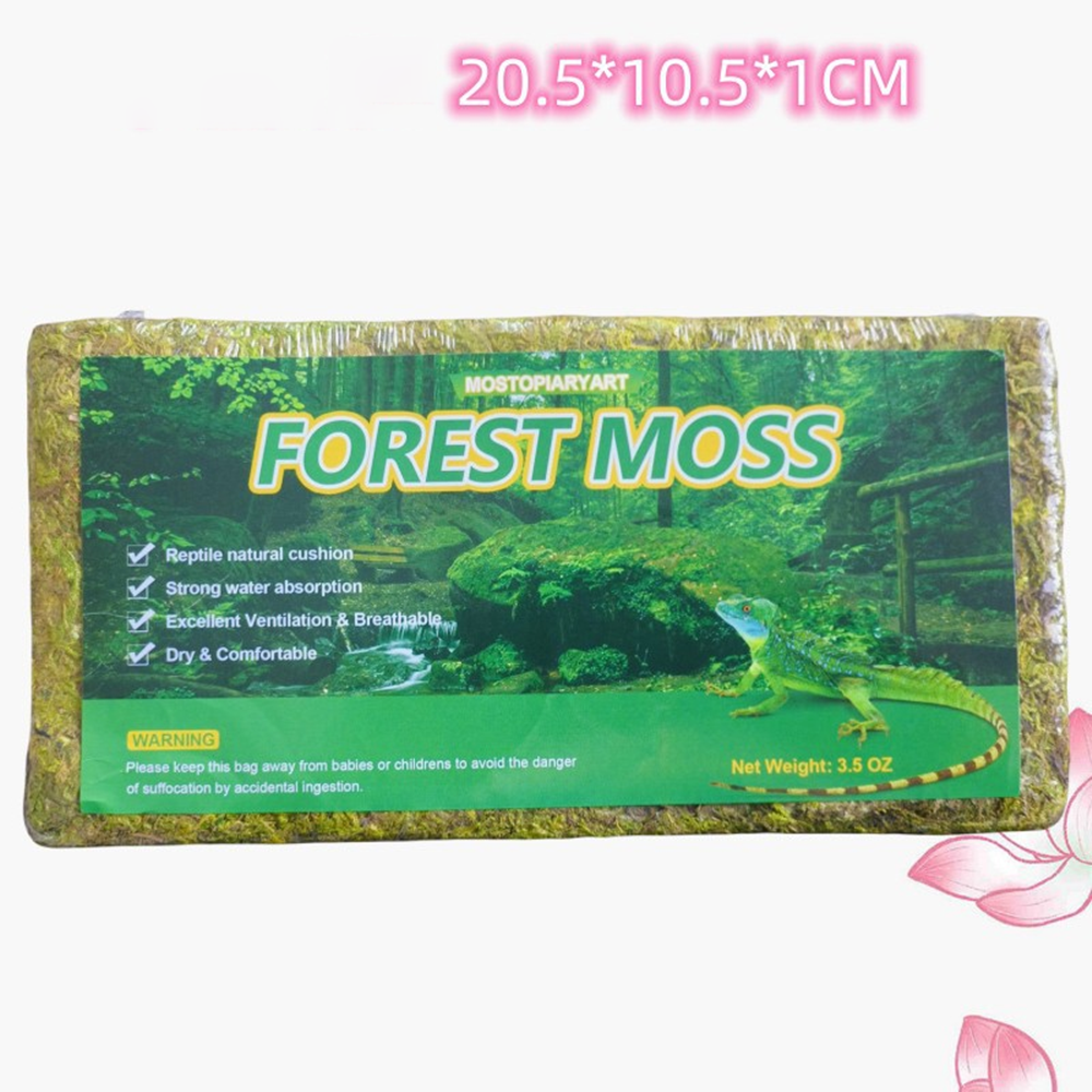 Forest Moss Reptile Substrate - Natural Cushion Strong Water Absorption Breathable Comfortable for Reptiles 第5张-Jorbangpet
