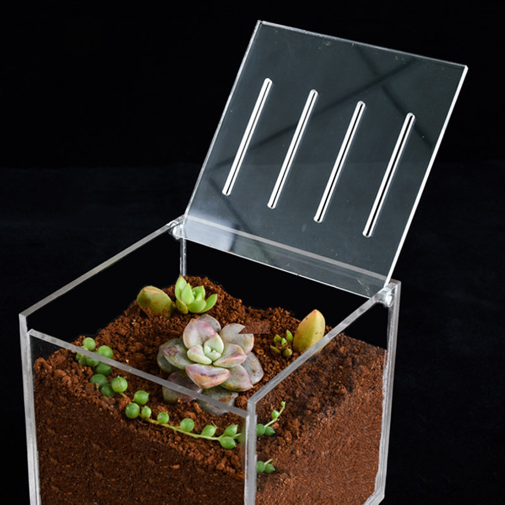 Mini Desktop Moss Terrarium - Acrylic Display Case with Flip Lid for Moss Landscapes Office Decor 第6张-Jorbangpet