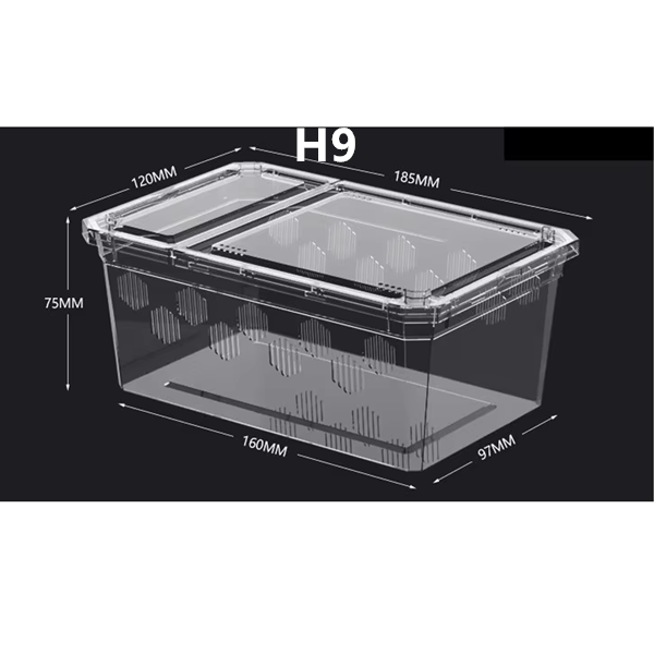Stackable Reptile Breeding Box-  Portable  Transparent Plastic Enclosure with Ventilated Lids for Frogs Spiders  第10张